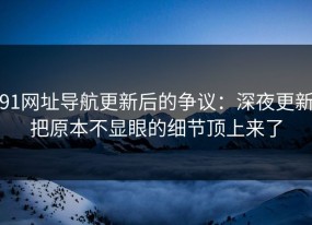 91网址导航更新后的争议：深夜更新把原本不显眼的细节顶上来了