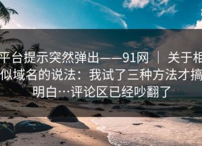 平台提示突然弹出——91网 ｜ 关于相似域名的说法：我试了三种方法才搞明白…评论区已经吵翻了
