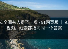 安全圈有人提了一嘴 - 91网页版 ｜ 91视频。线索都指向同一个答案
