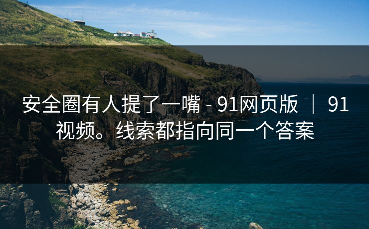 安全圈有人提了一嘴 - 91网页版 ｜ 91视频。线索都指向同一个答案